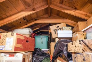 Managing Mold and Bacteria in Extreme Hoarding Scenarios cover