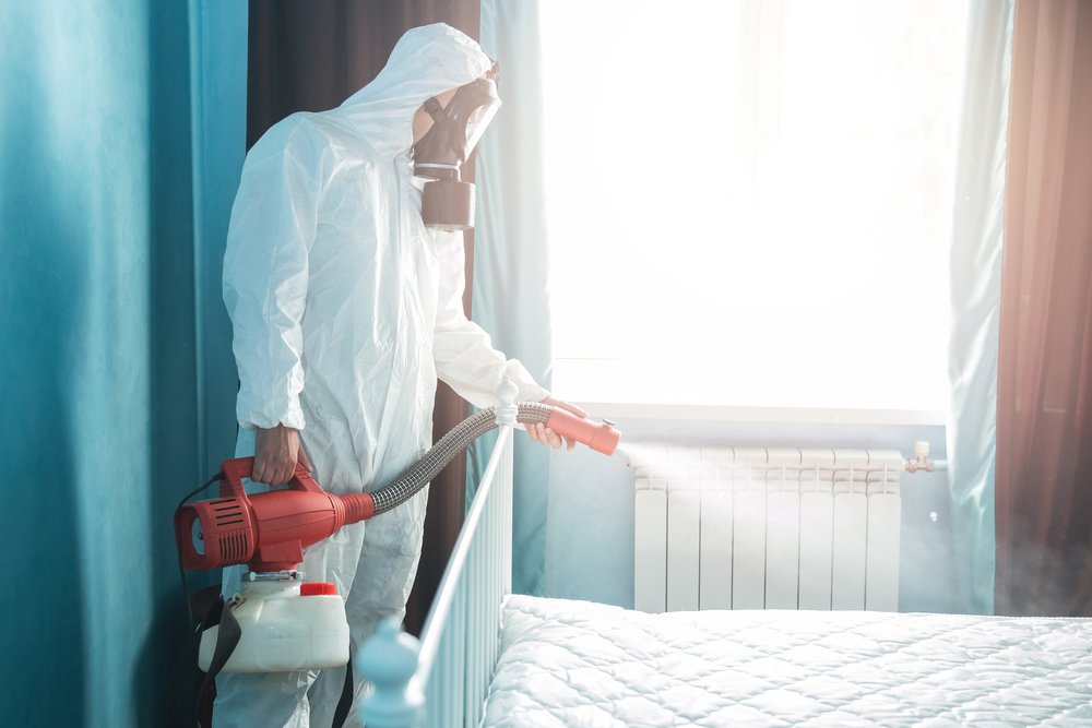 Emergency home cleaning services