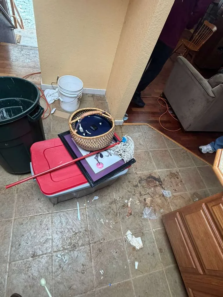 urine & fecal matter before cleanup