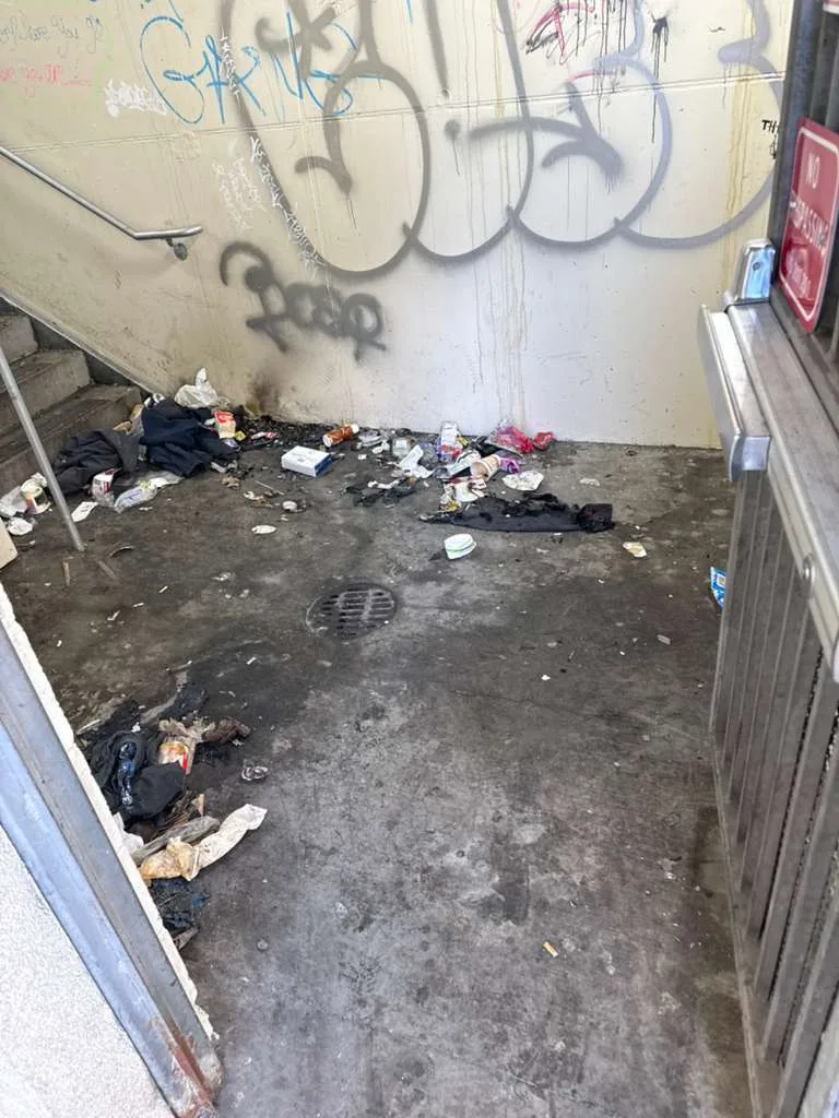 homeless encampment cleanup
