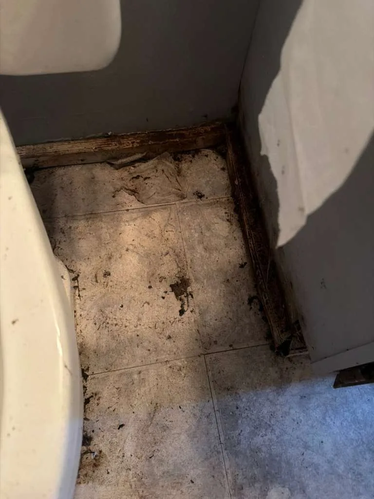 waste removal behind toilet