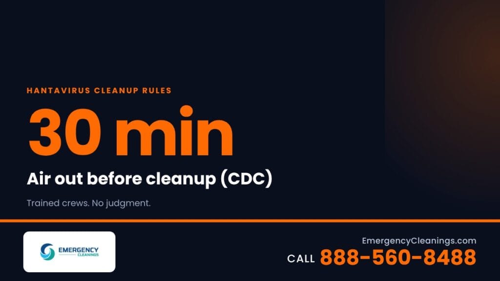 Rodent Droppings and Pest Waste Cleanup: Hantavirus and Health Risks